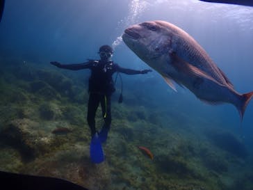 クリオネダイバーズに投稿された画像（2022/7/2）