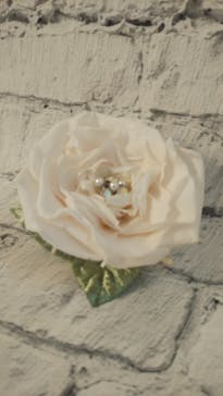 プティアメリに投稿された画像（2022/7/2）