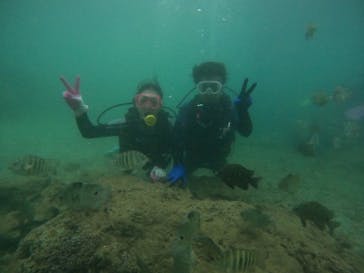 武藤潜水に投稿された画像（2022/7/2）