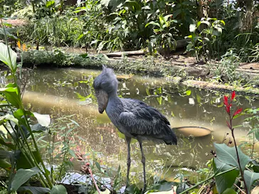 神戸どうぶつ王国に投稿された画像（2022/7/2）