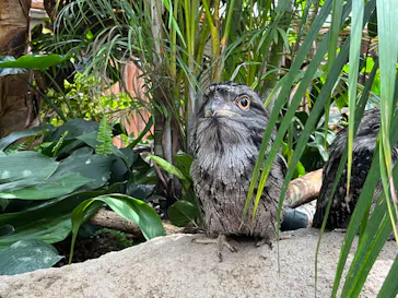 神戸どうぶつ王国に投稿された画像（2022/7/2）