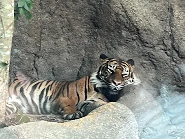 神戸どうぶつ王国に投稿された画像（2022/7/2）