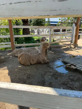 神戸どうぶつ王国に投稿された画像（2022/7/2）