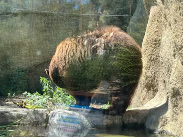 神戸どうぶつ王国に投稿された画像（2022/7/2）