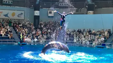 マクセル アクアパーク品川に投稿された画像（2022/7/2）