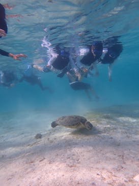 宮古島 ADVENTURE PiPi（ミヤコジマ アドベンチャー ピピ）に投稿された画像（2022/7/2）