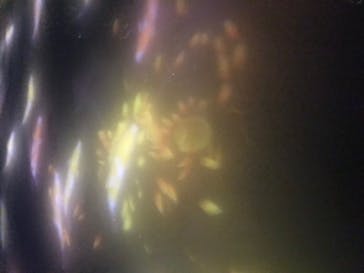 チームラボプラネッツ TOKYO DMMに投稿された画像（2022/7/2）