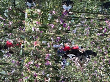 チームラボプラネッツ TOKYO DMMに投稿された画像（2022/7/2）