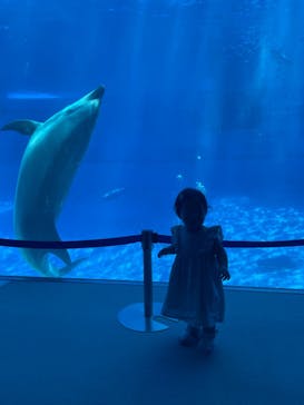 名古屋港水族館に投稿された画像（2022/7/2）