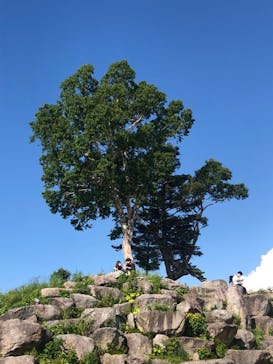 竜王マウンテンリゾート SORA terrace（ソラテラス）に投稿された画像（2022/7/2）