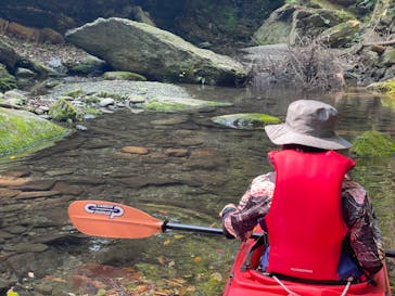 カヌーリゾートたまよどに投稿された画像（2022/7/2）