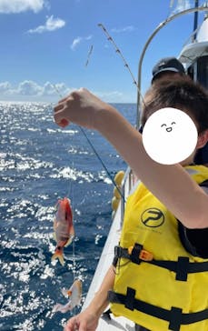 沖縄海うさぎ・海あしびに投稿された画像（2022/7/2）