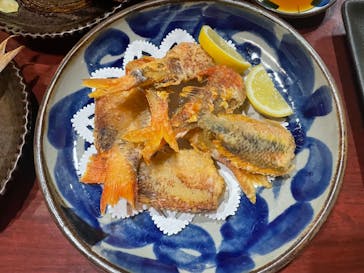 沖縄海うさぎ・海あしびに投稿された画像（2022/7/2）