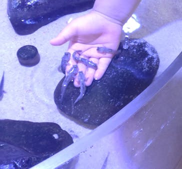 南知多ビーチランド＆南知多おもちゃ王国に投稿された画像（2022/7/2）