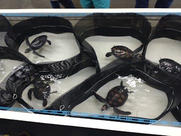 南知多ビーチランド＆南知多おもちゃ王国に投稿された画像（2022/7/2）