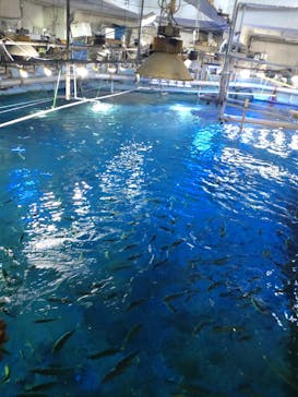 南知多ビーチランド＆南知多おもちゃ王国に投稿された画像（2022/7/2）