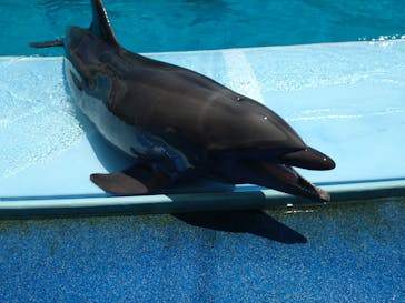 南知多ビーチランド＆南知多おもちゃ王国に投稿された画像（2022/7/2）