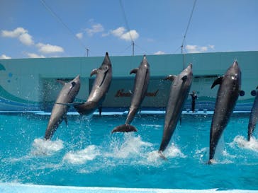 南知多ビーチランド＆南知多おもちゃ王国に投稿された画像（2022/7/2）