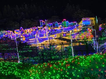 伊豆ぐらんぱる公園に投稿された画像（2022/7/2）