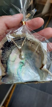 名古屋港水族館に投稿された画像（2022/7/2）