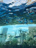 サンシャイン水族館に投稿された画像（2022/7/2）