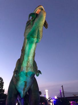 伊豆ぐらんぱる公園に投稿された画像（2022/7/2）