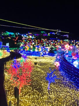 伊豆ぐらんぱる公園に投稿された画像（2022/7/2）