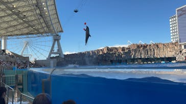 名古屋港水族館に投稿された画像（2022/7/2）