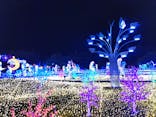 伊豆ぐらんぱる公園に投稿された画像（2022/7/3）