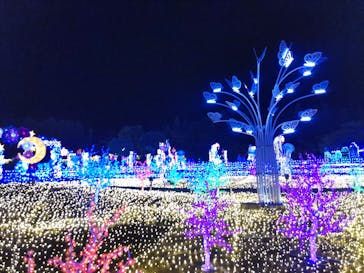 伊豆ぐらんぱる公園に投稿された画像（2022/7/2）