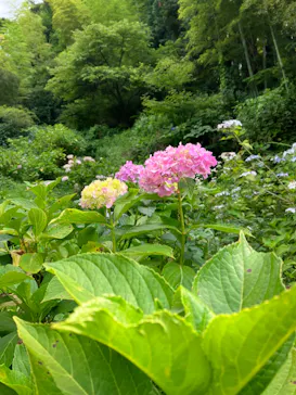 わんダフルネイチャーヴィレッジに投稿された画像（2022/7/2）