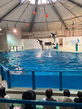 登別マリンパークニクスに投稿された画像（2022/7/3）