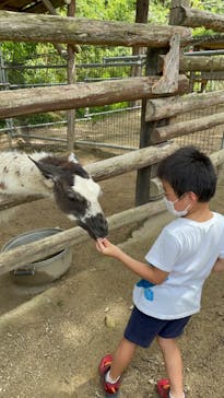 しろとり動物園に投稿された画像（2022/7/3）