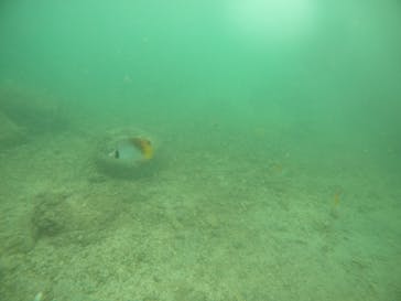 武藤潜水に投稿された画像（2022/7/3）