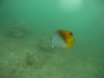 武藤潜水に投稿された画像（2022/7/3）