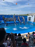 仙台うみの杜水族館に投稿された画像（2022/7/3）