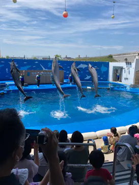 仙台うみの杜水族館に投稿された画像（2022/7/3）