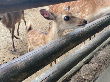 群馬サファリパークに投稿された画像（2022/7/3）