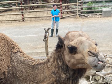 群馬サファリパークに投稿された画像（2022/7/3）