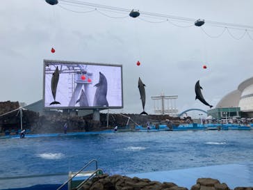 名古屋港水族館に投稿された画像（2022/7/3）