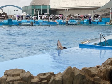 名古屋港水族館に投稿された画像（2022/7/3）