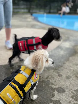 わんダフルネイチャーヴィレッジに投稿された画像（2022/7/3）