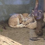 神戸どうぶつ王国に投稿された画像（2022/7/3）