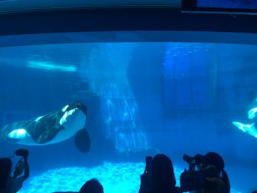 名古屋港水族館に投稿された画像（2022/7/3）