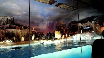 名古屋港水族館に投稿された画像（2022/7/3）
