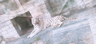 東武動物公園に投稿された画像（2022/7/3）