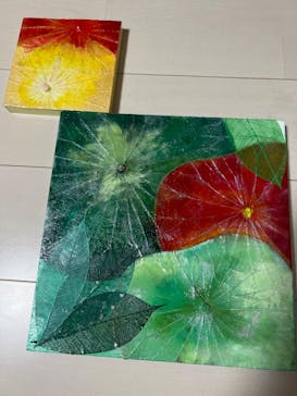 Kantof（カントフ）710.に投稿された画像（2022/7/3）