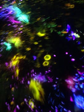 チームラボプラネッツ TOKYO DMMに投稿された画像（2022/7/3）