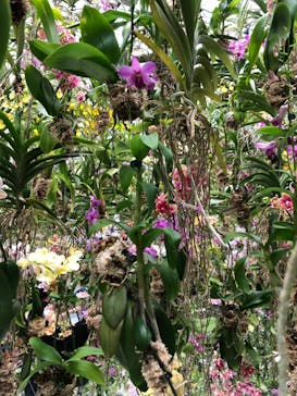 チームラボプラネッツ TOKYO DMMに投稿された画像（2022/7/3）