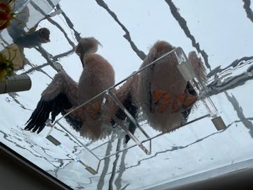 サンシャイン水族館に投稿された画像（2022/7/3）